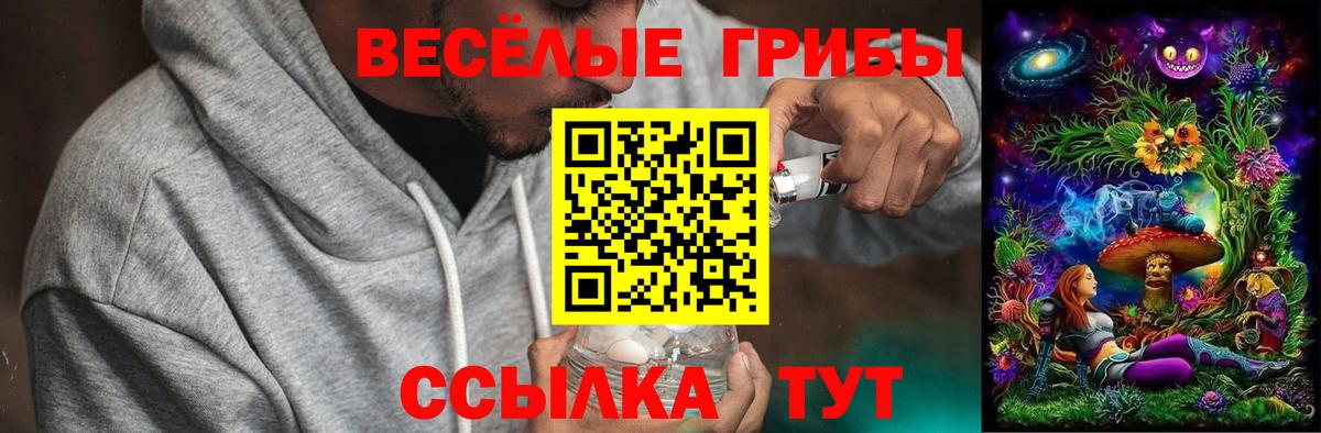 Псилоцибиновые грибы прущие грибы  Вход с VPN  Чебаркуль 